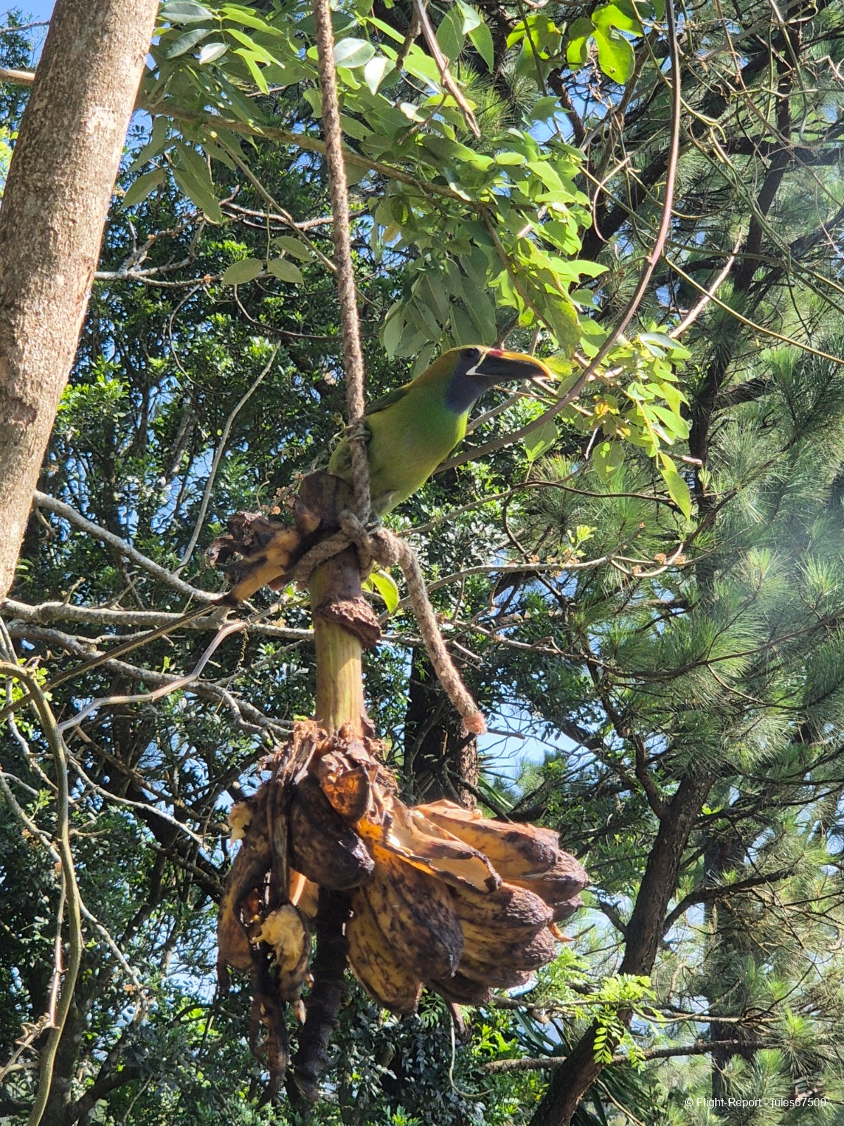 photo 20250224_145150