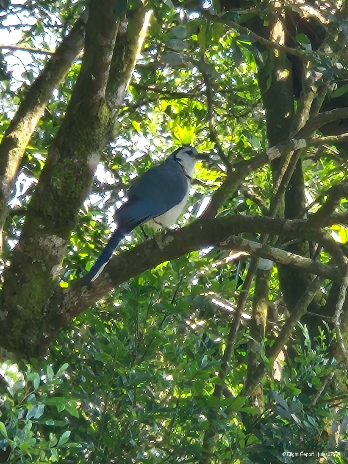 photo 20250224_145634