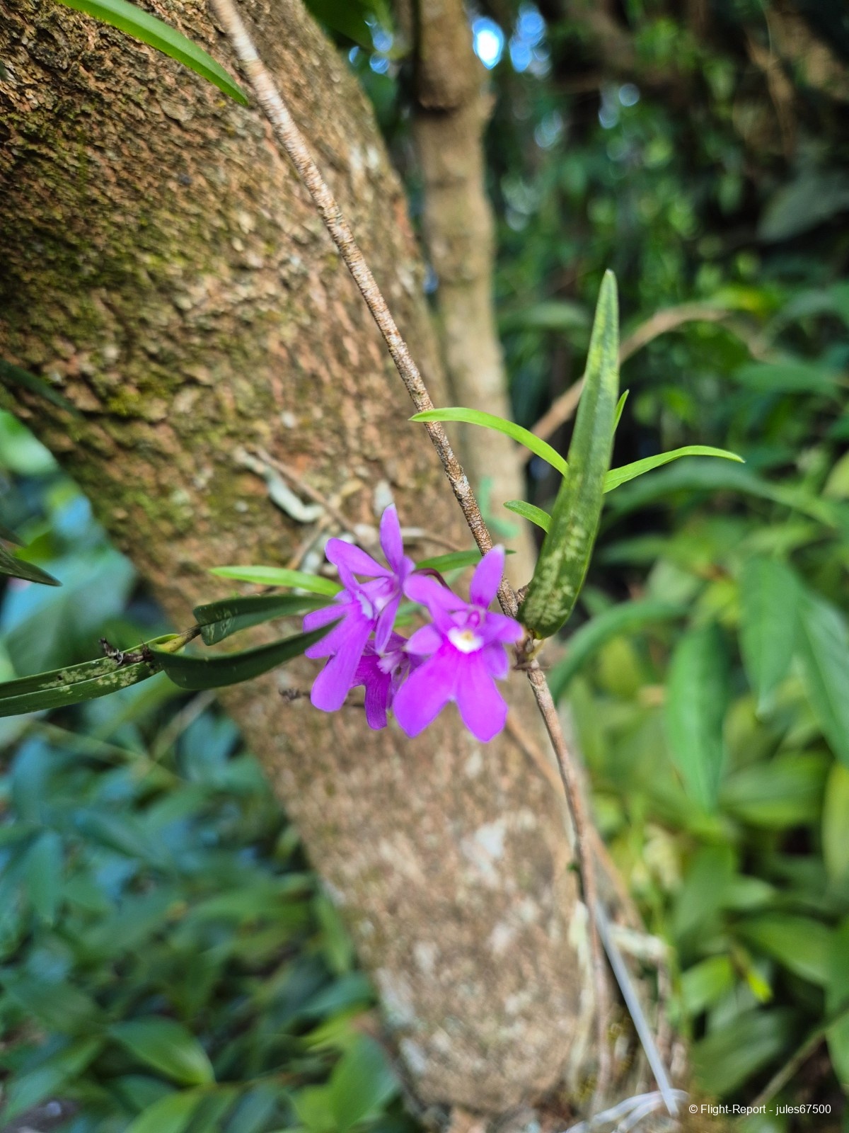photo 20250225_162132
