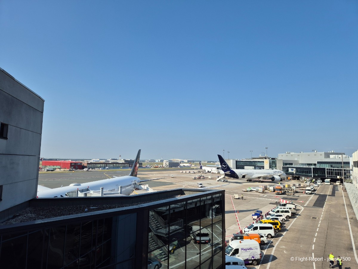 photo 20250619_090921