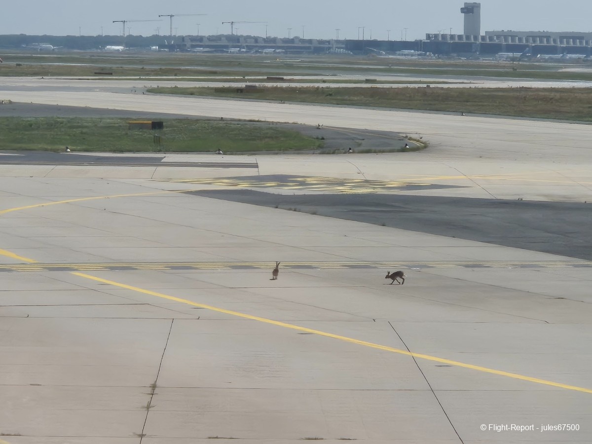 photo 20250619_113352