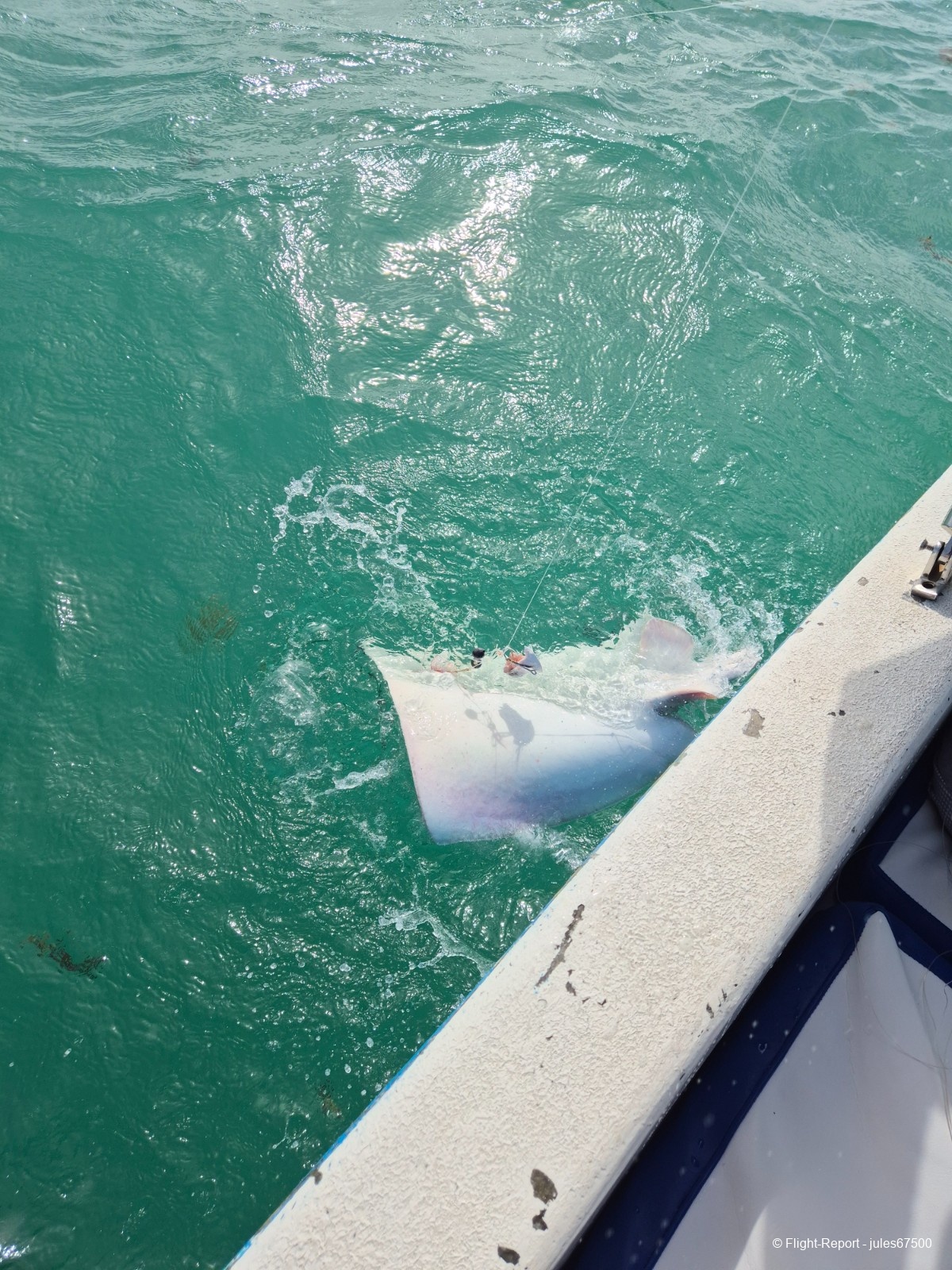 photo 20250627_092634