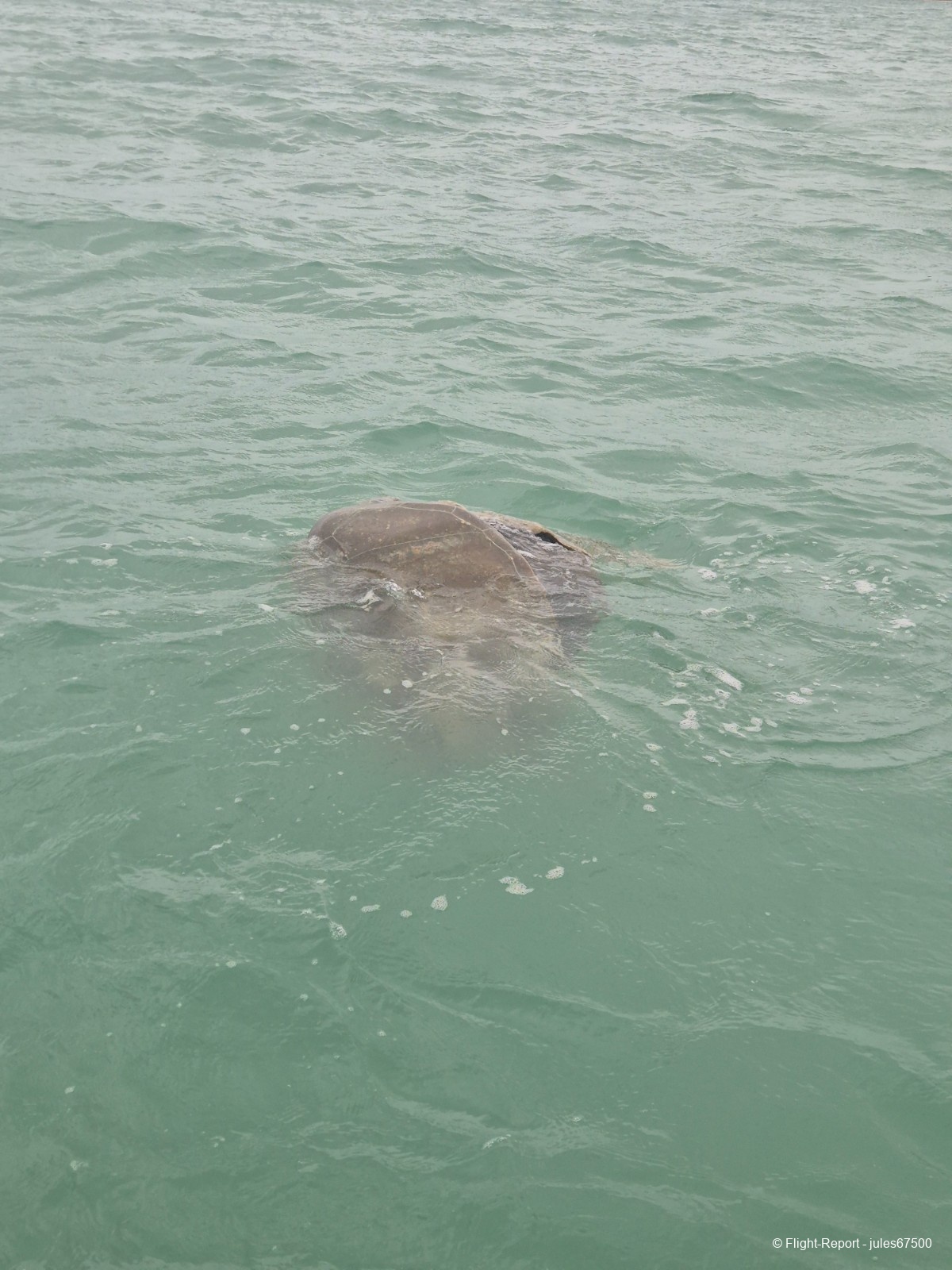 photo 20250627_124649