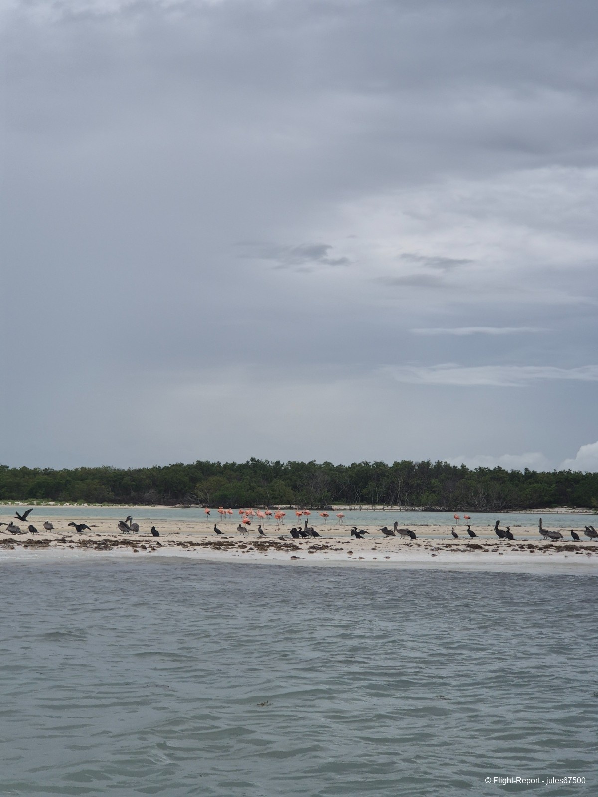 photo 20250627_1317310