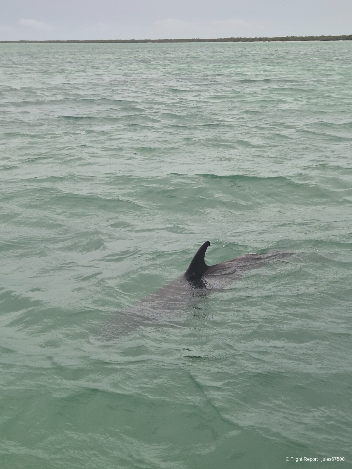 photo 20250627_132818