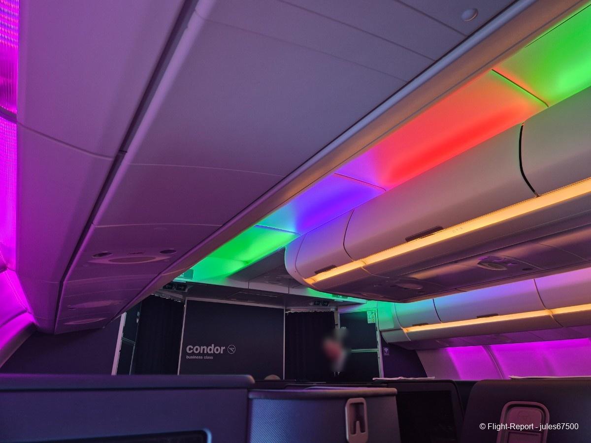 photo 20250702_053602-13974