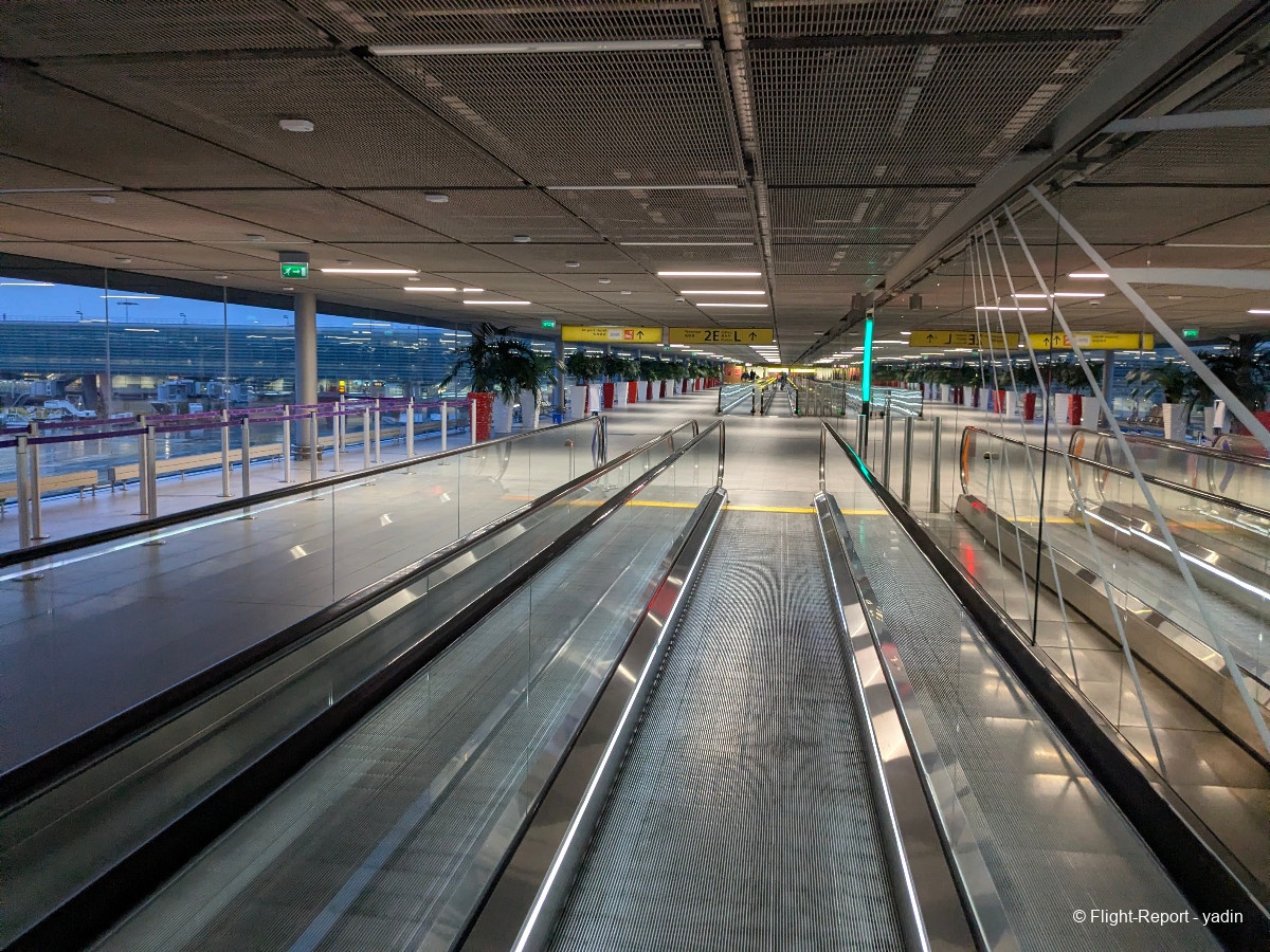 photo pxl_20260211_070325074mp