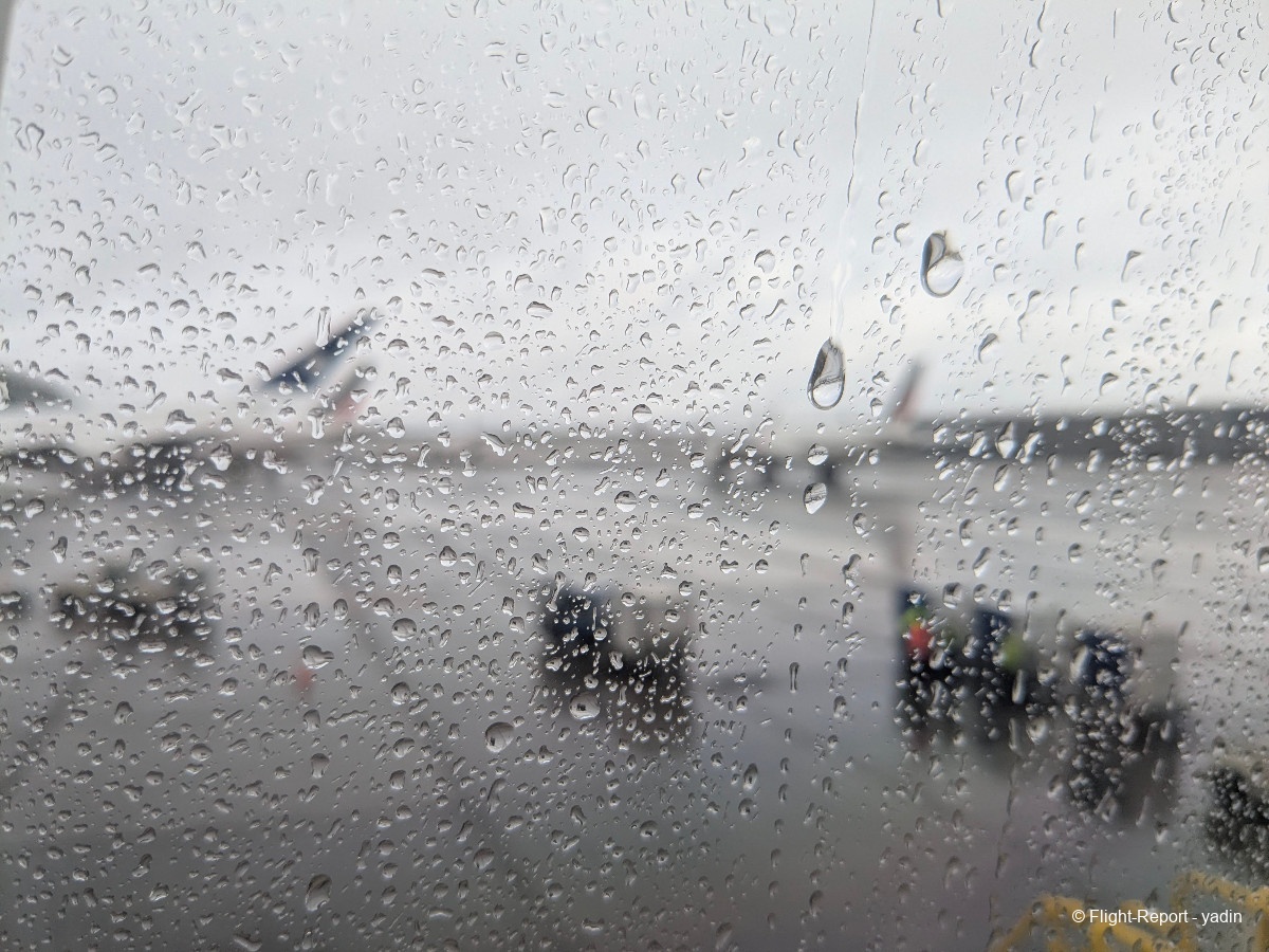 photo pxl_20260211_094519963