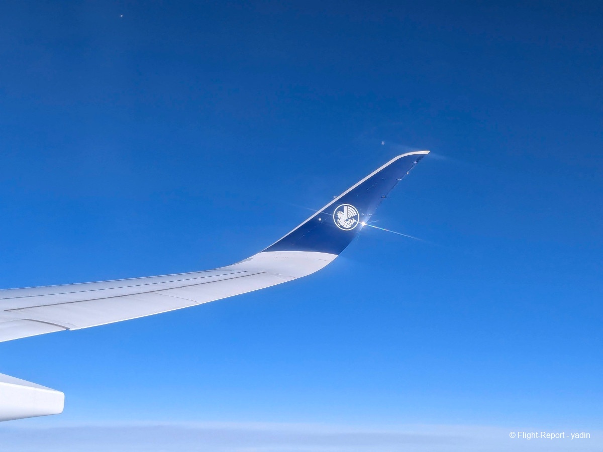 photo pxl_20260211_105908514