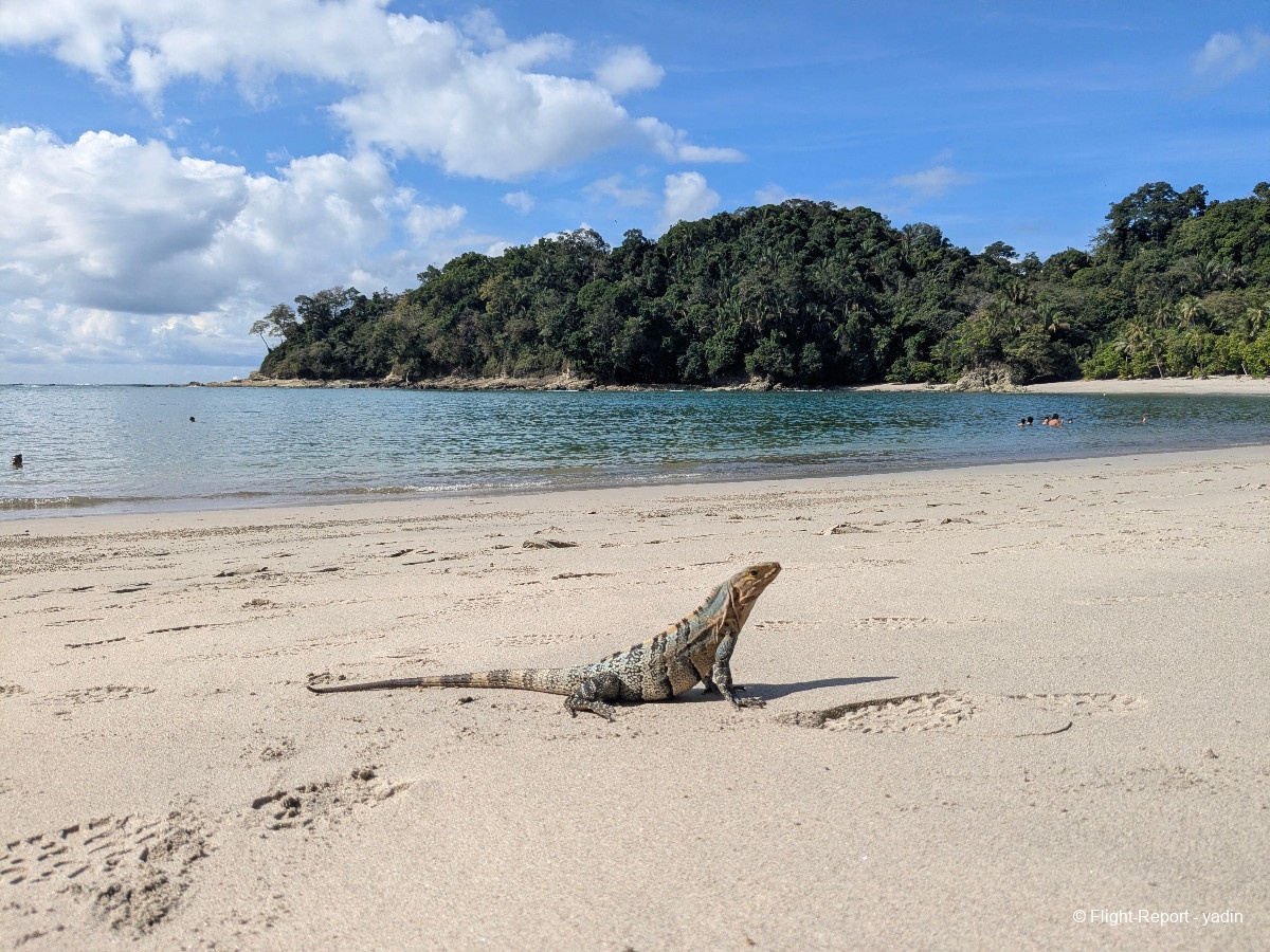 photo pxl_20260214_150555335