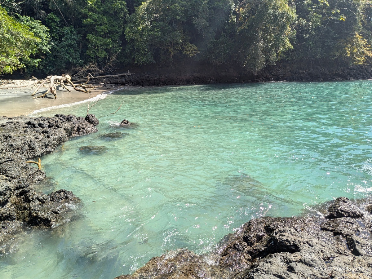 photo pxl_20260214_193701973mp