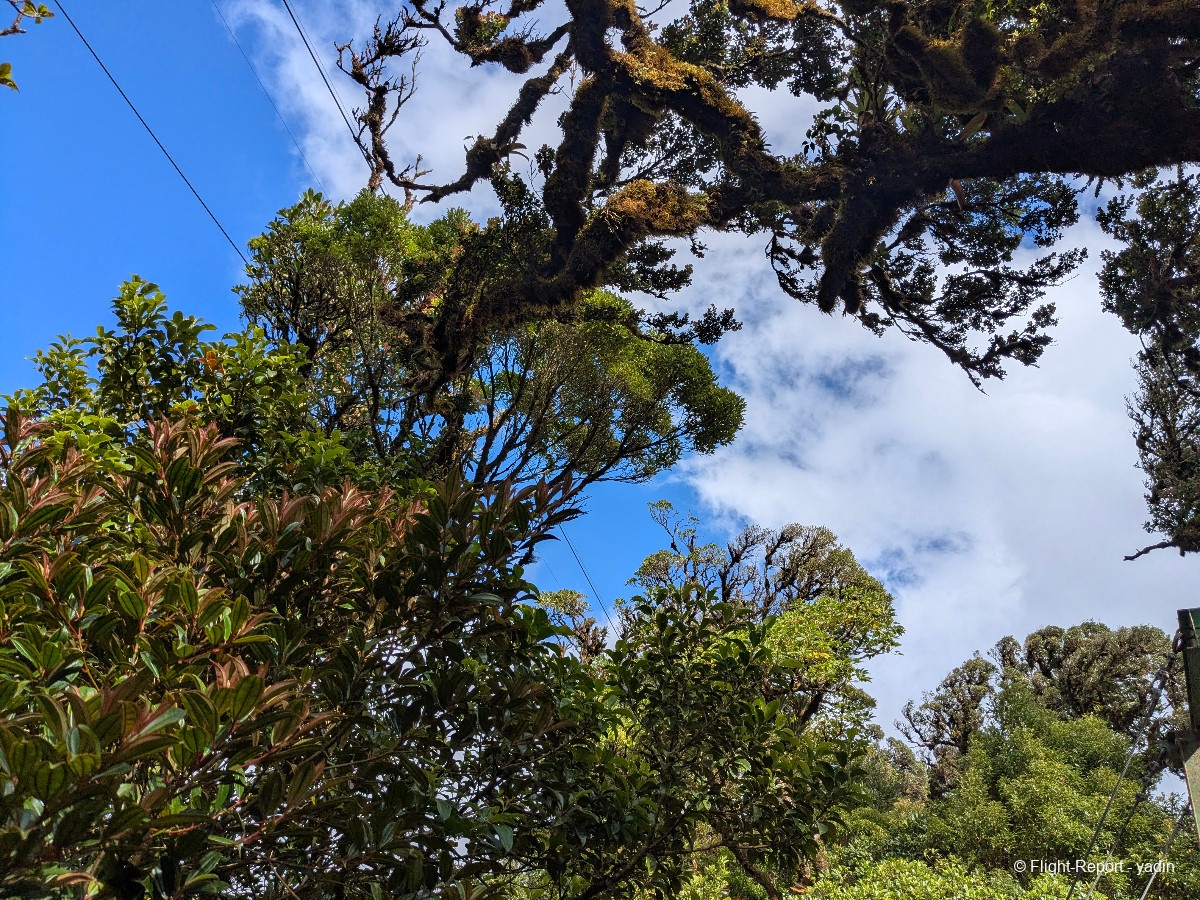 photo pxl_20260217_205723583