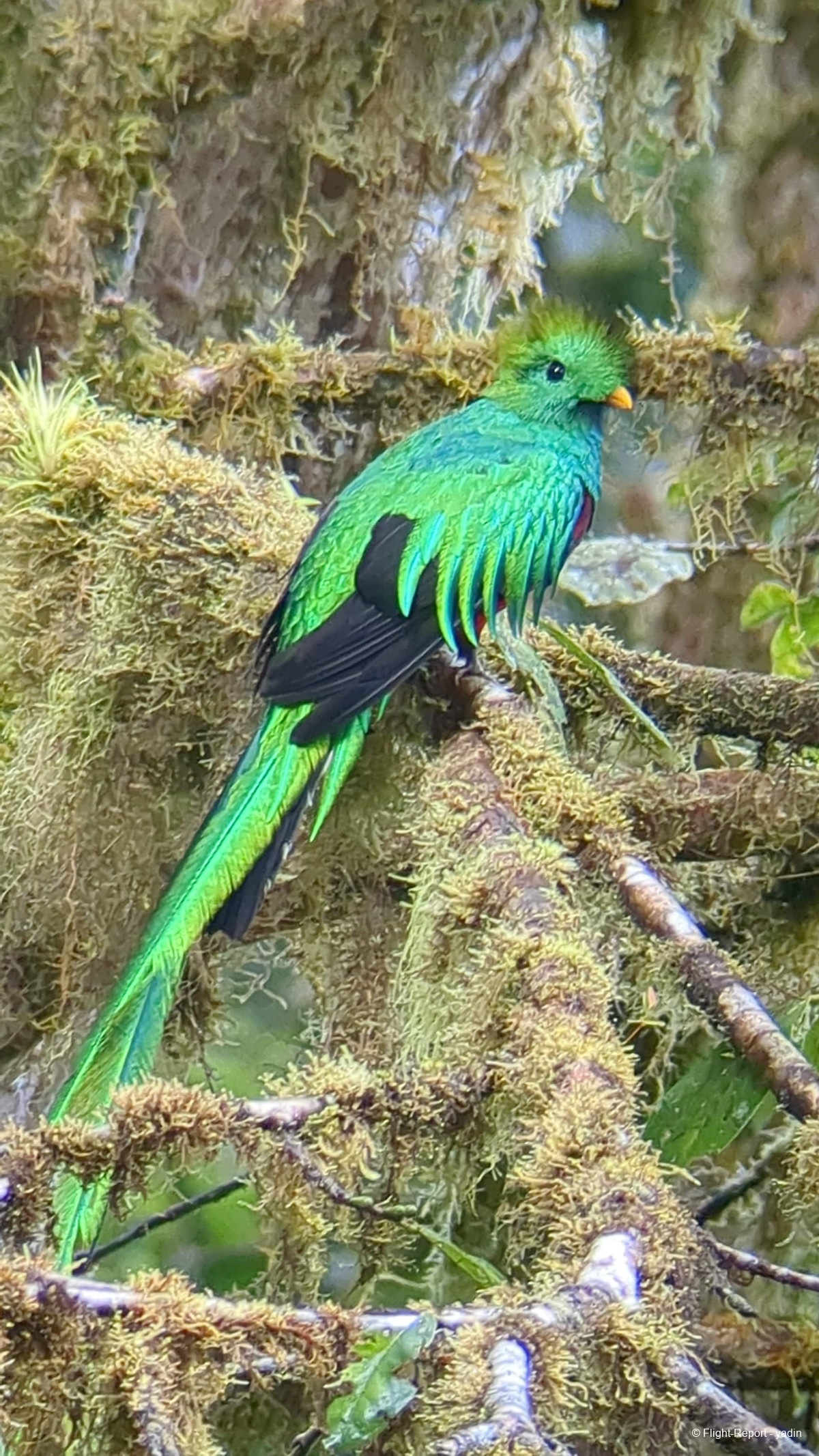 photo pxl_20260218_143329378