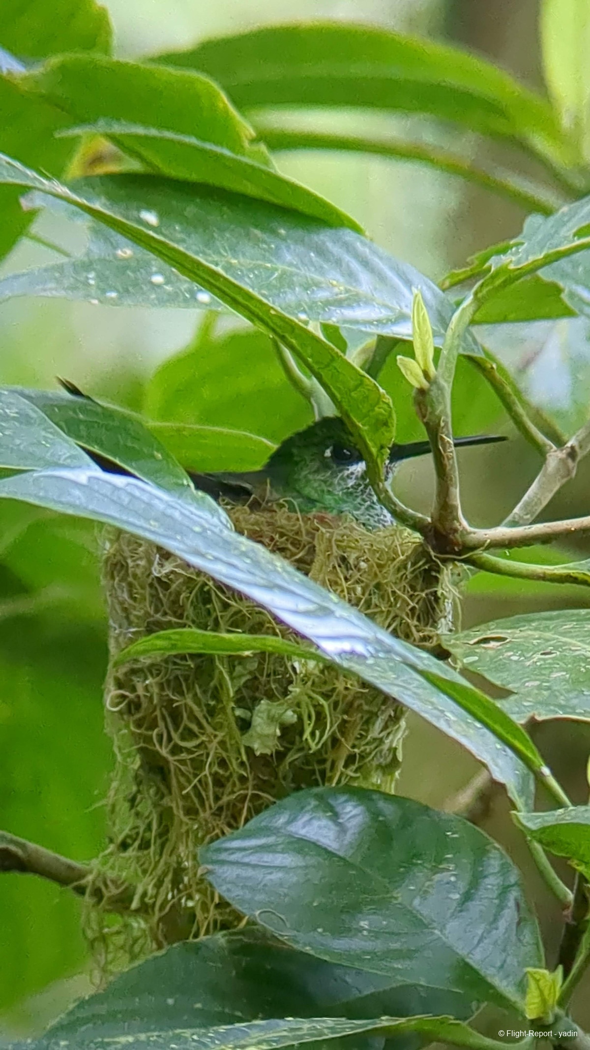 photo pxl_20260218_155103421