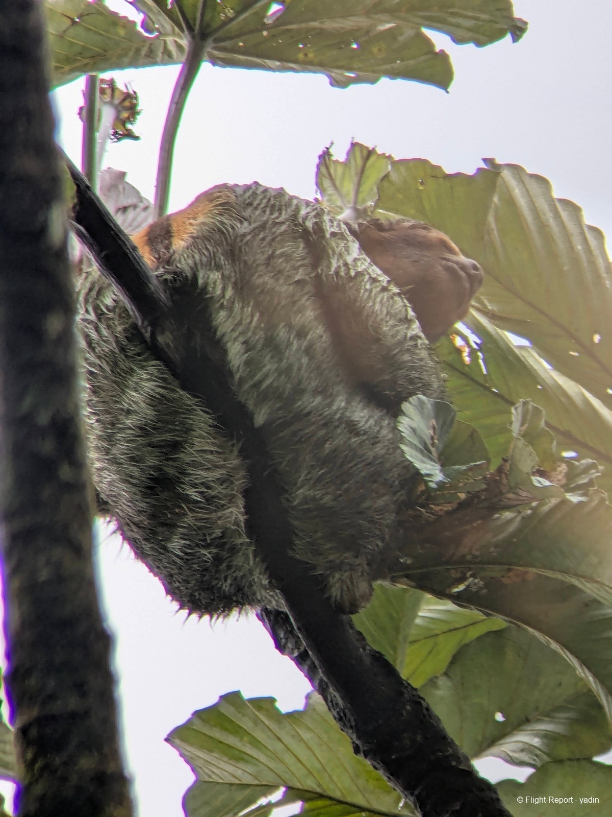 photo pxl_20260219_145253660