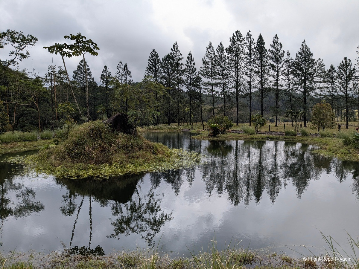 photo pxl_20260219_173156884