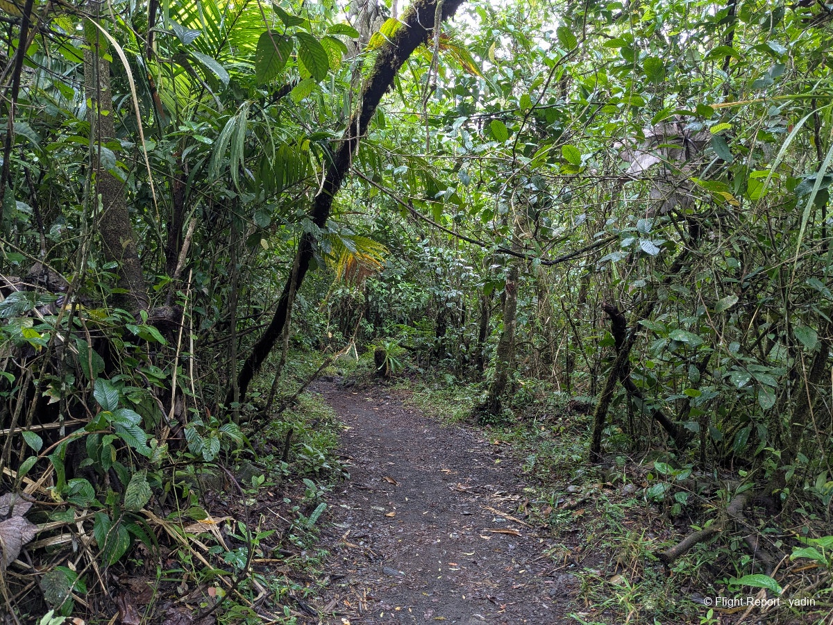 photo pxl_20260220_150718627