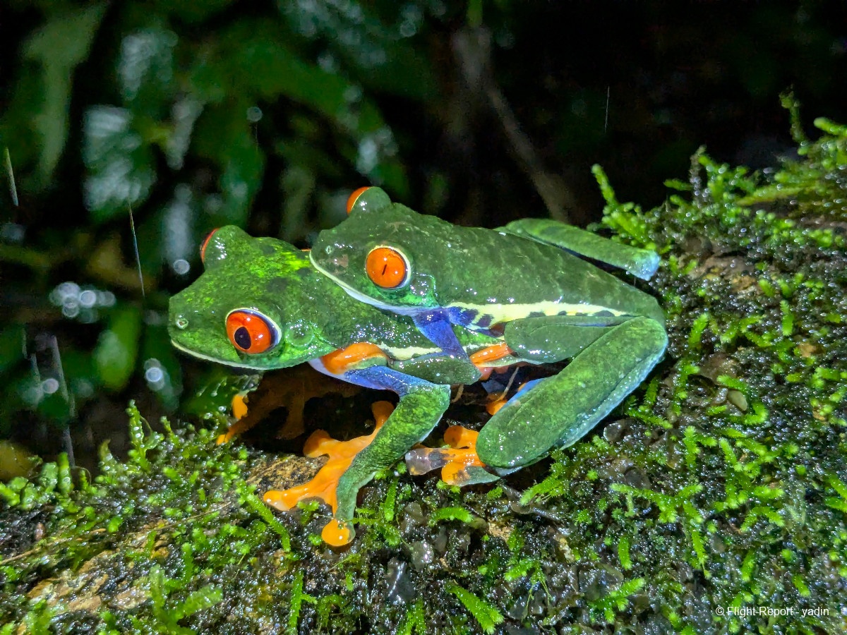 photo pxl_20260221_015907099