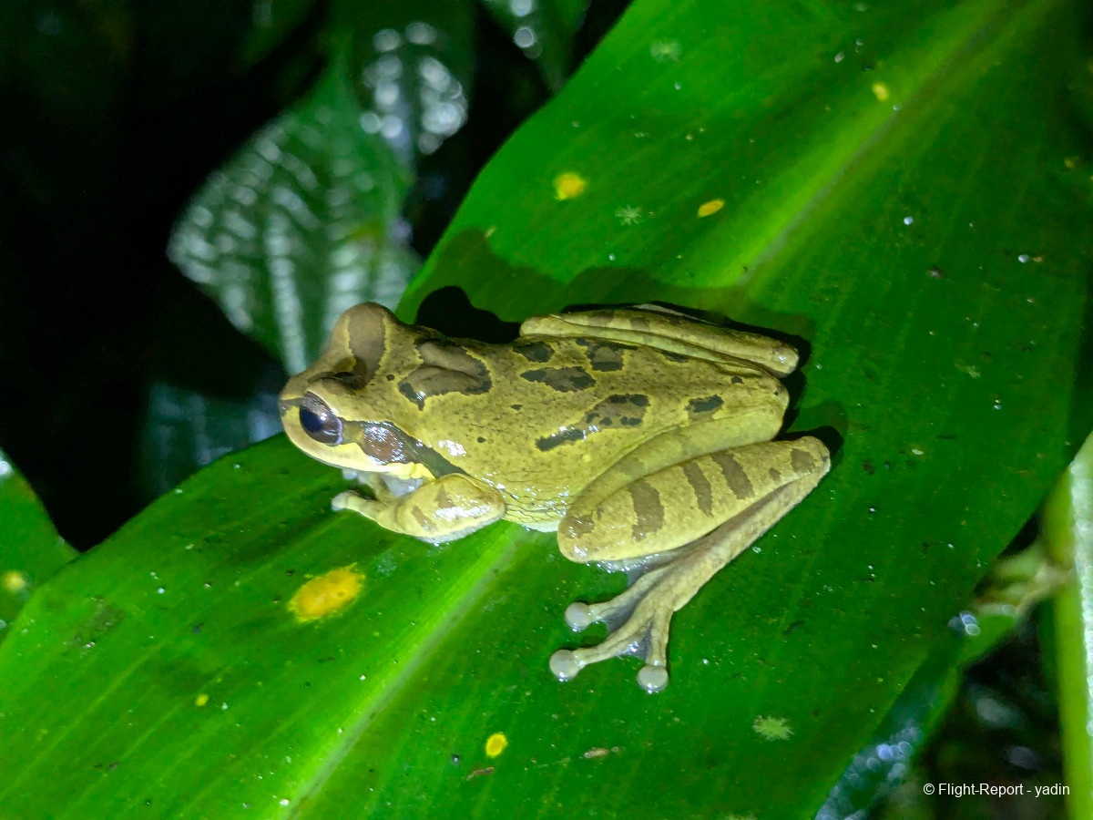 photo pxl_20260221_021621542