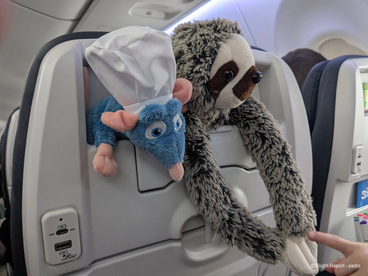 photo pxl_20260222_152800873