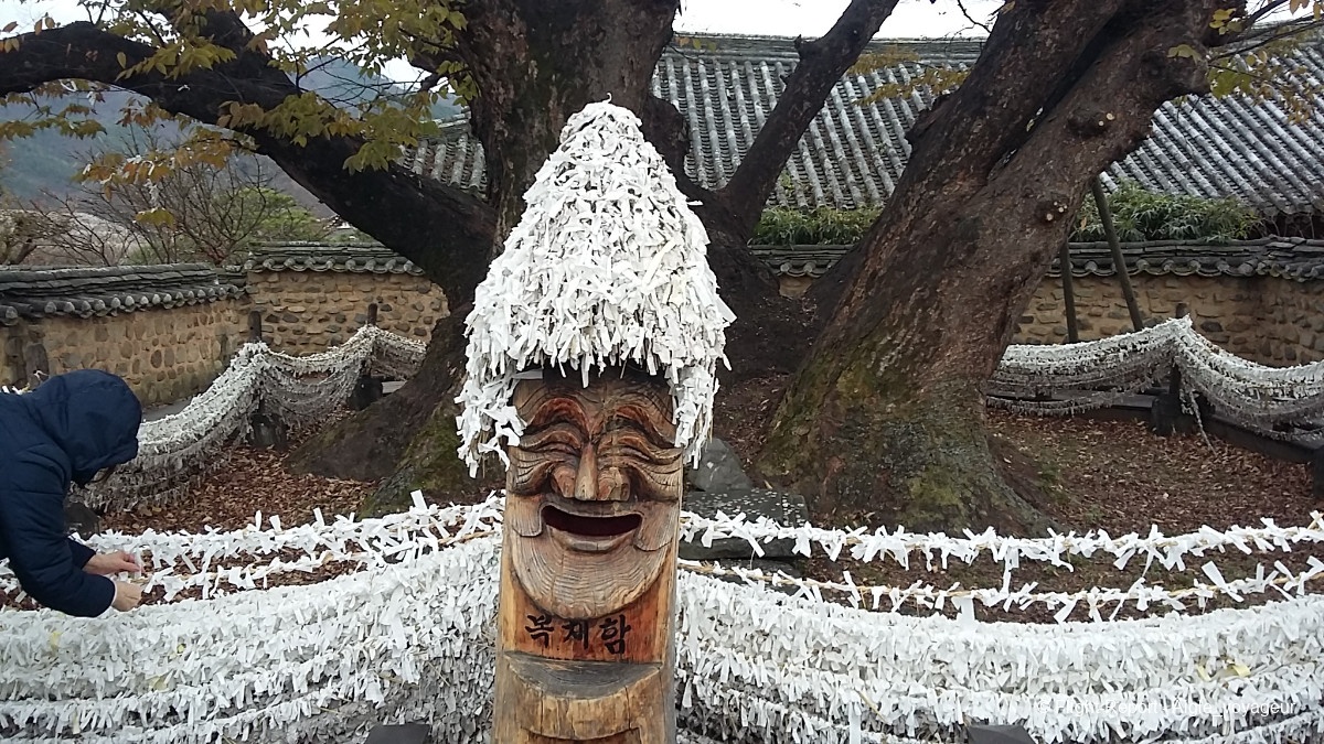 photo 20231111_154109