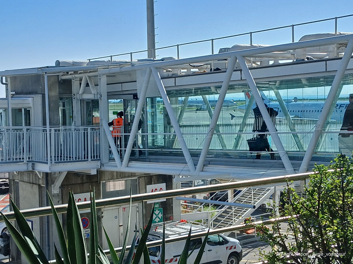 photo 20260313_110234-wiwo