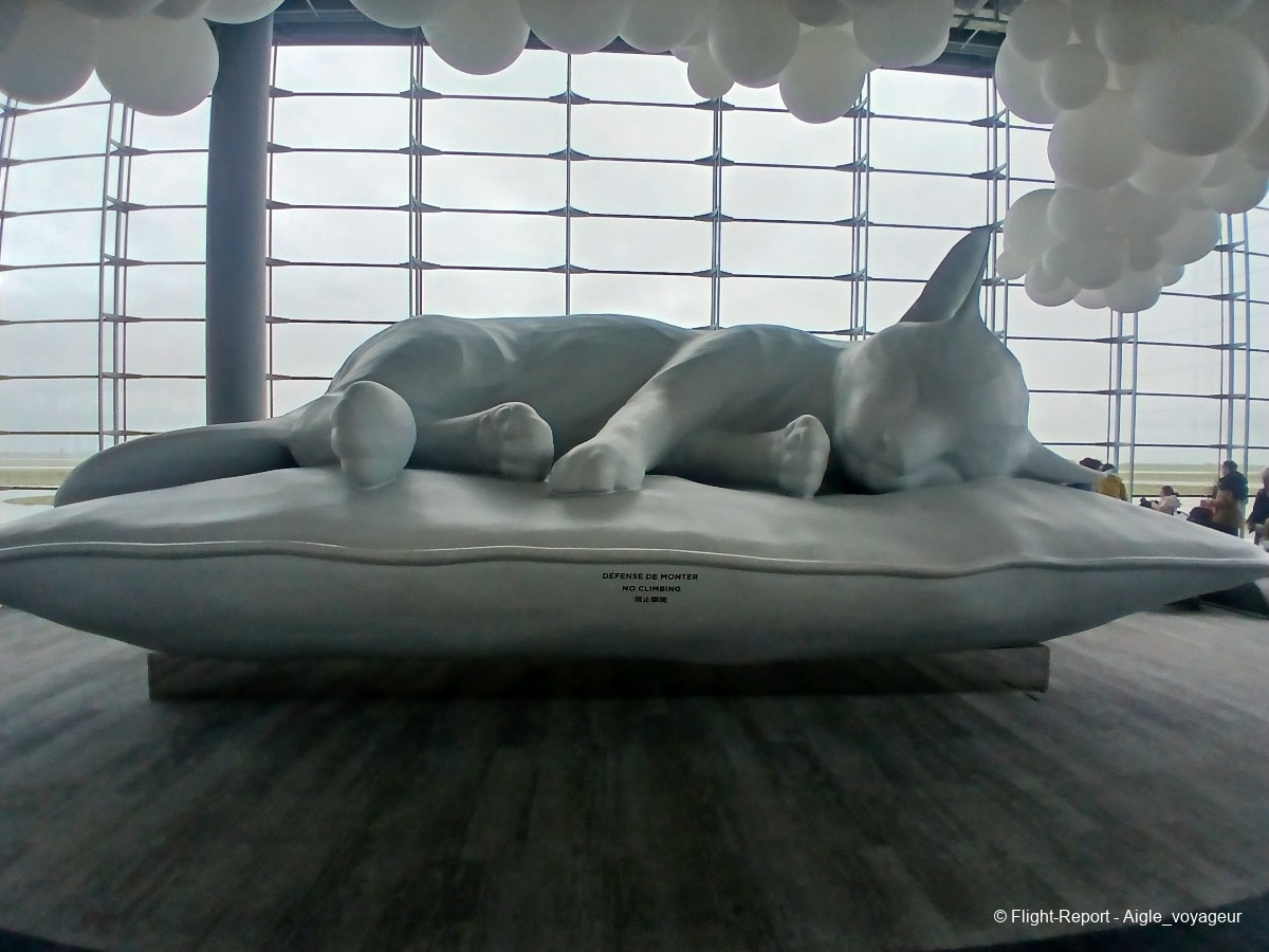 photo 20260313_140730-chat