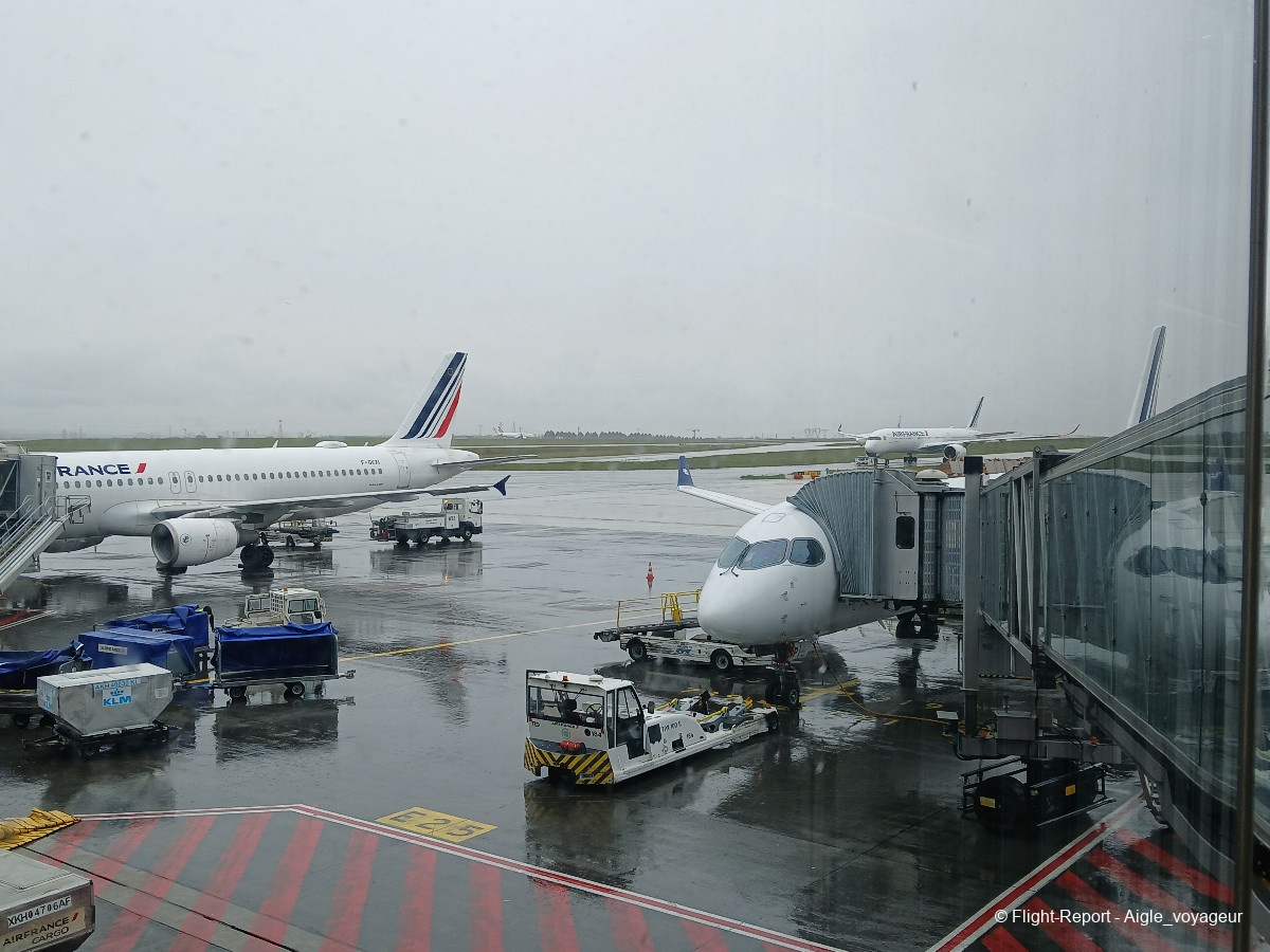 photo 20260313_143543-nez