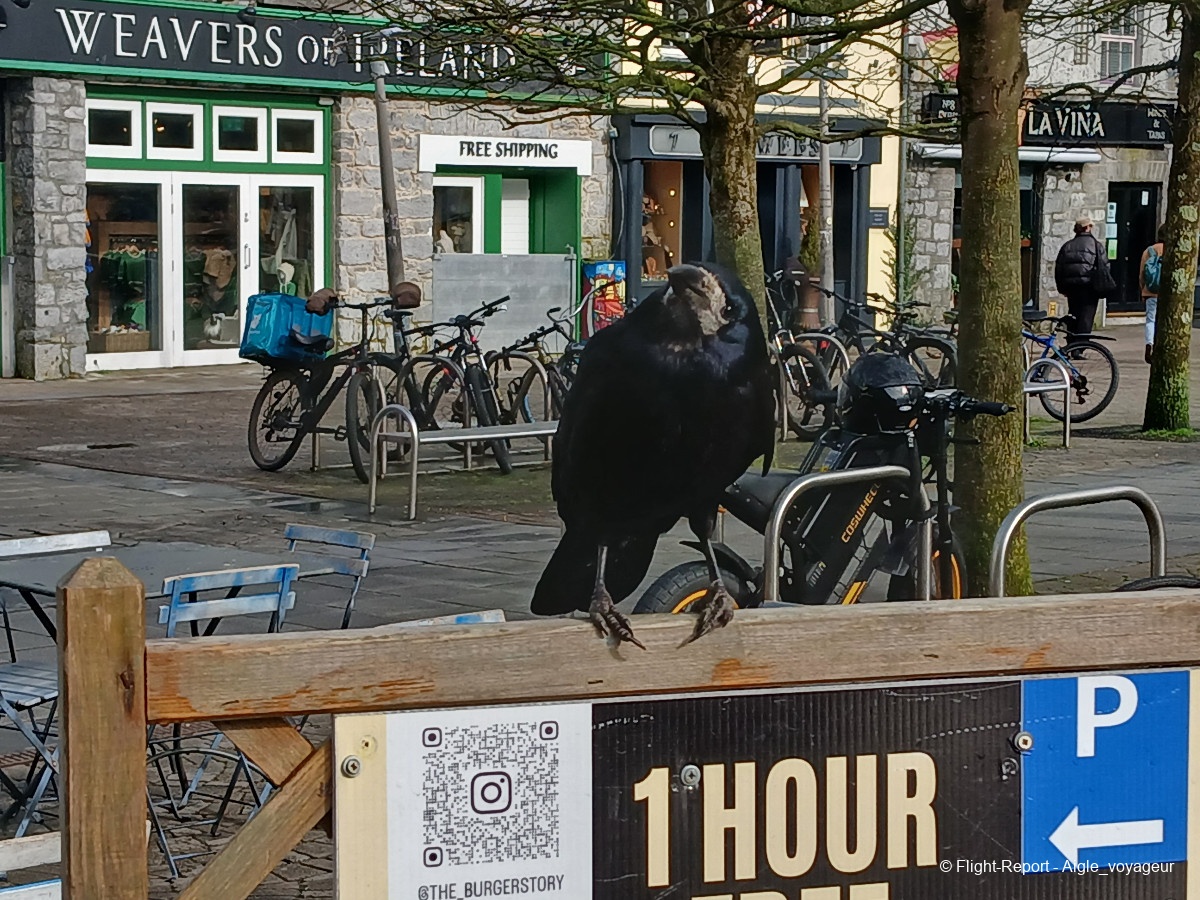 photo 20260314_143857-quartier-latin