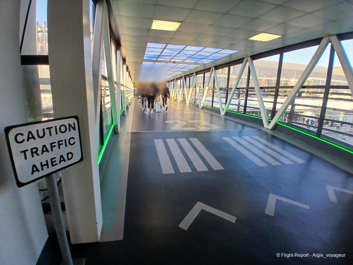 photo 20260319_073308-29706