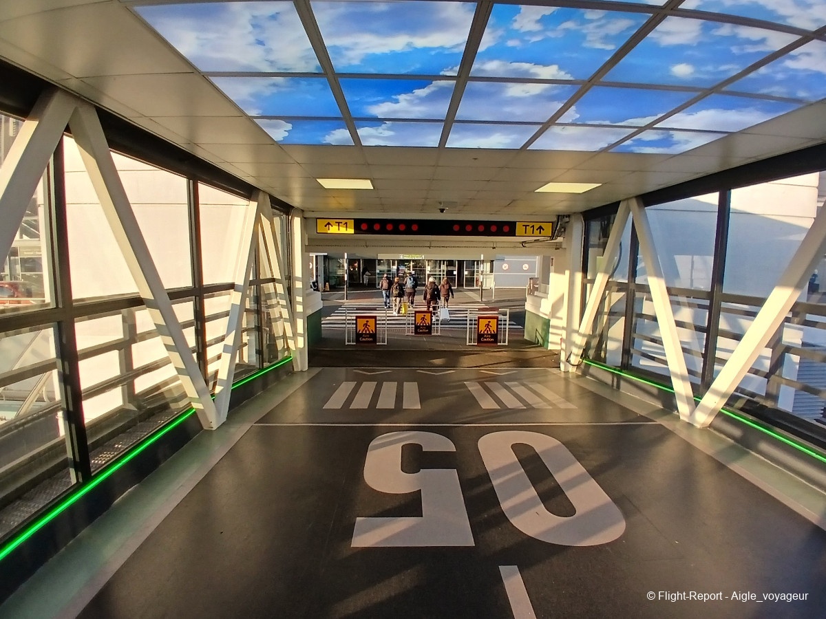 photo 20260319_073329