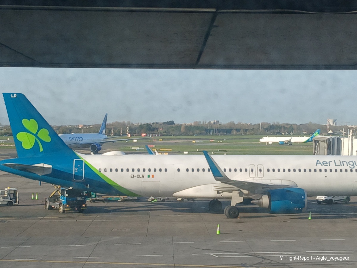 photo 20260319_080617