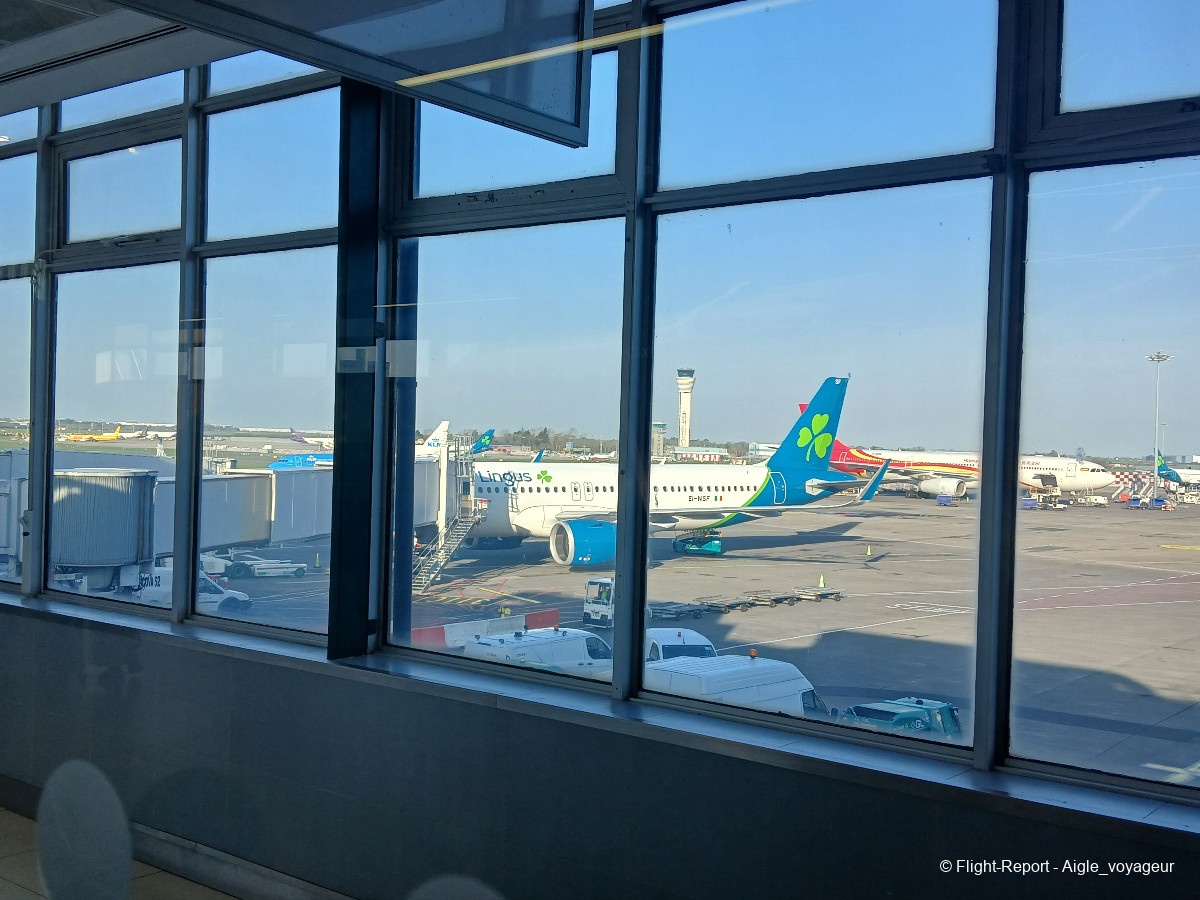 photo 20260319_081100