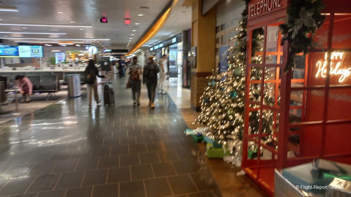 photo 20241229_175255