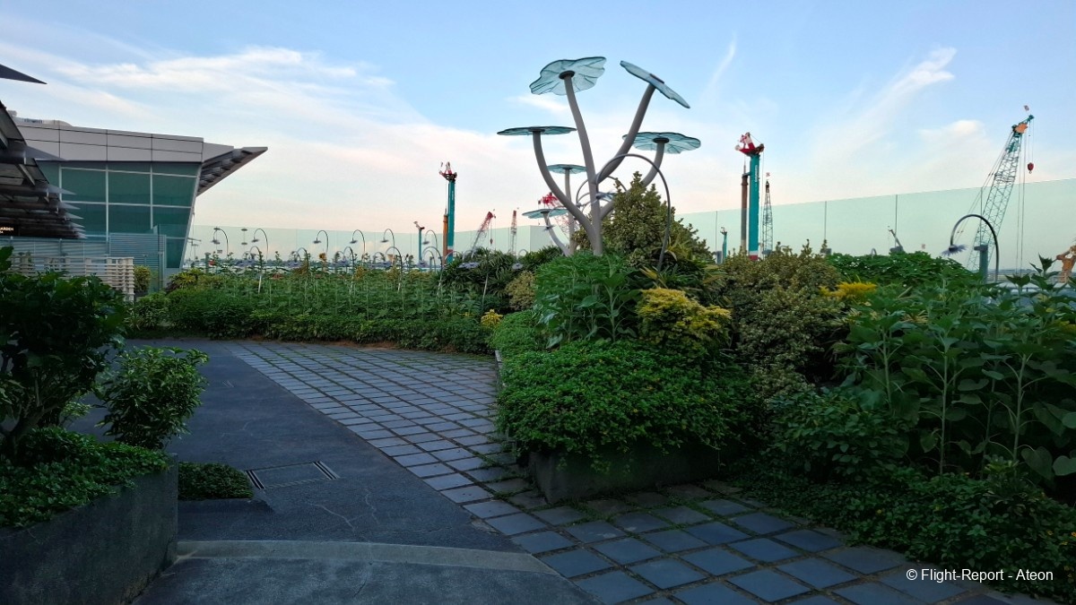 photo 20250207_184550