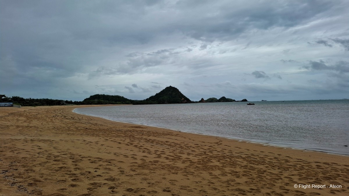 photo 20250212_152629