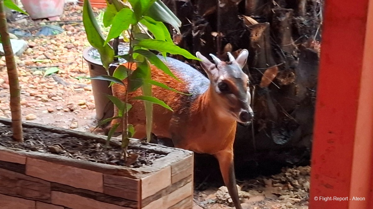 photo 20250609_125915
