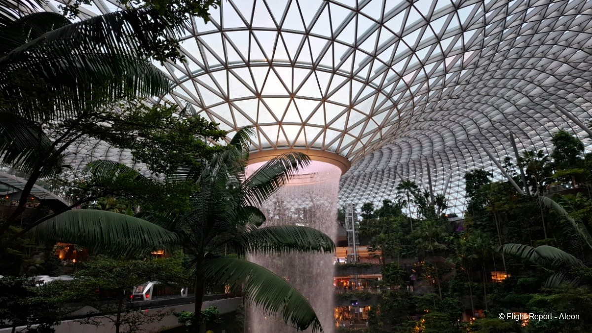 photo 20250216_190155