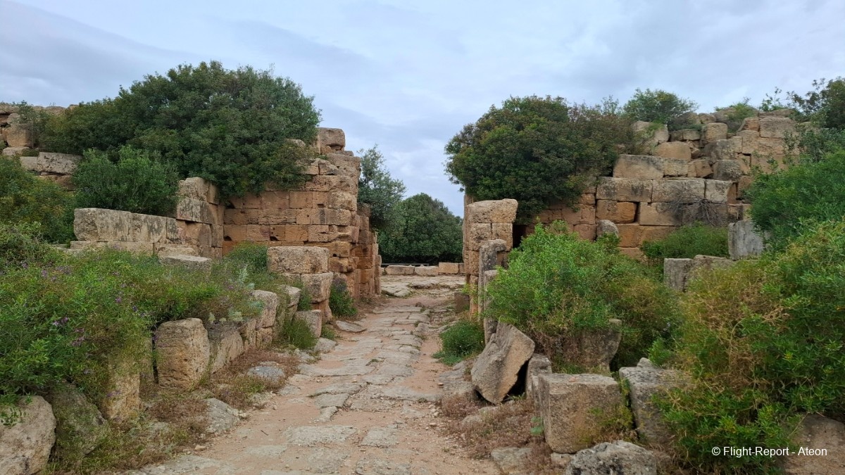 photo 20250504_112941