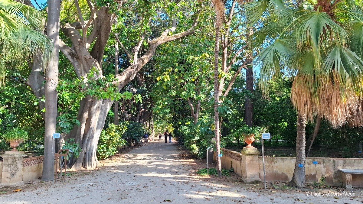 photo 20250506_170109