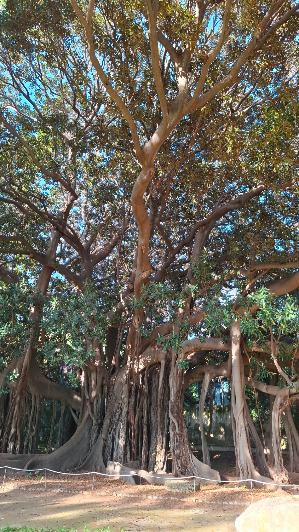 photo 20250506_175103