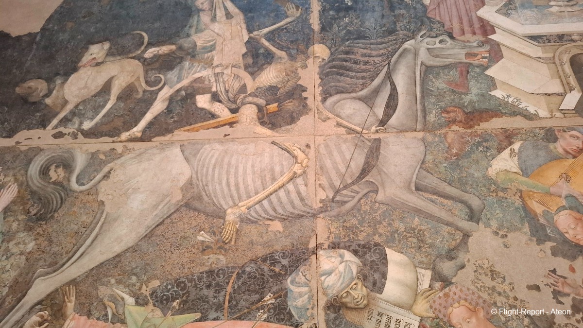 photo 20250508_094316