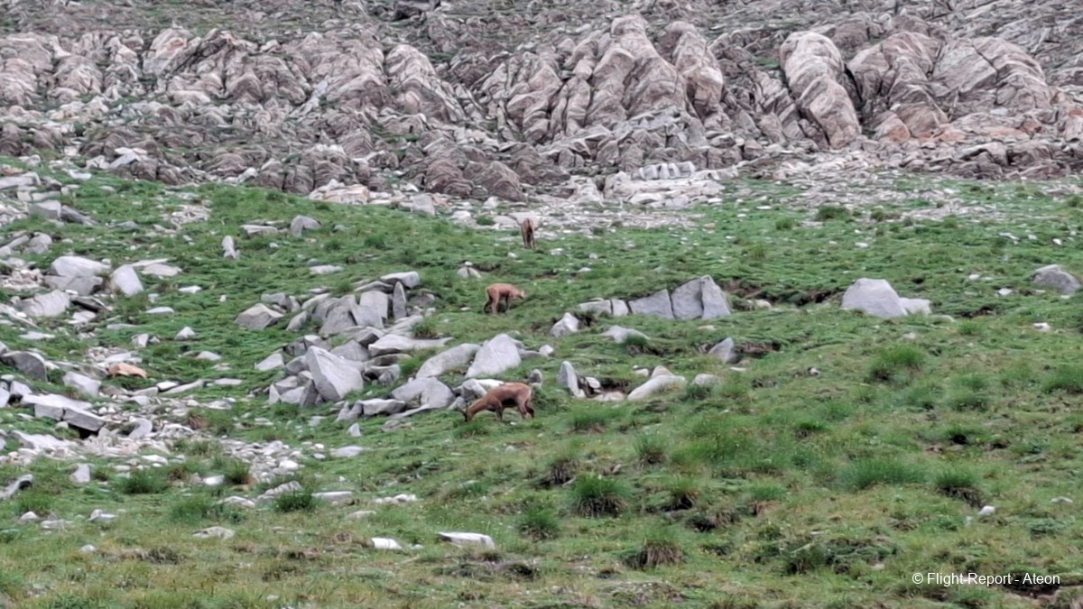 photo 20250711_104109