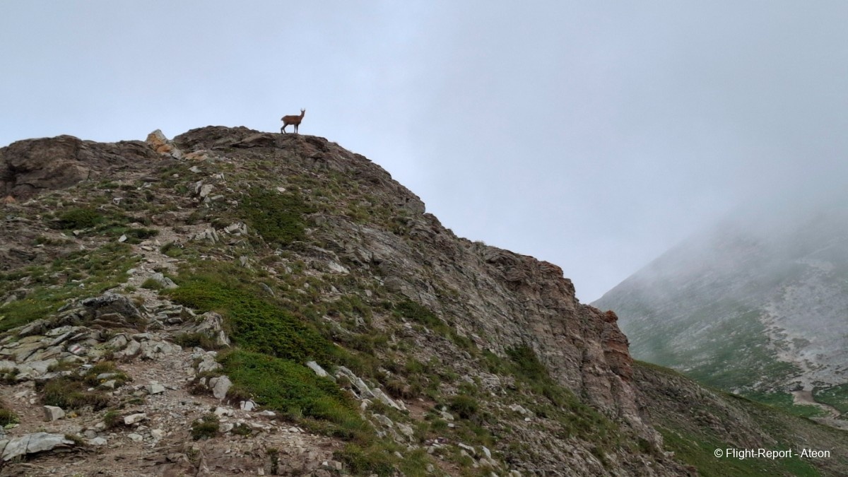 photo 20250711_105604