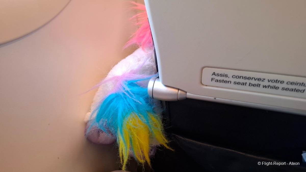 photo 20251107_081619