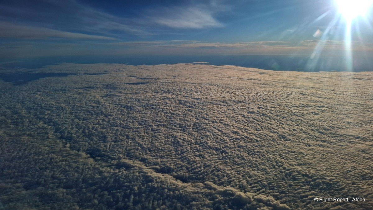 photo 20251107_083955