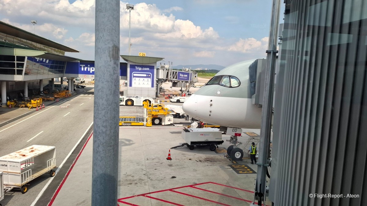 photo 20251108_075321