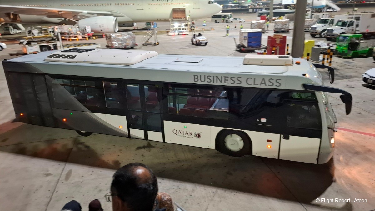 photo 20251111_053334