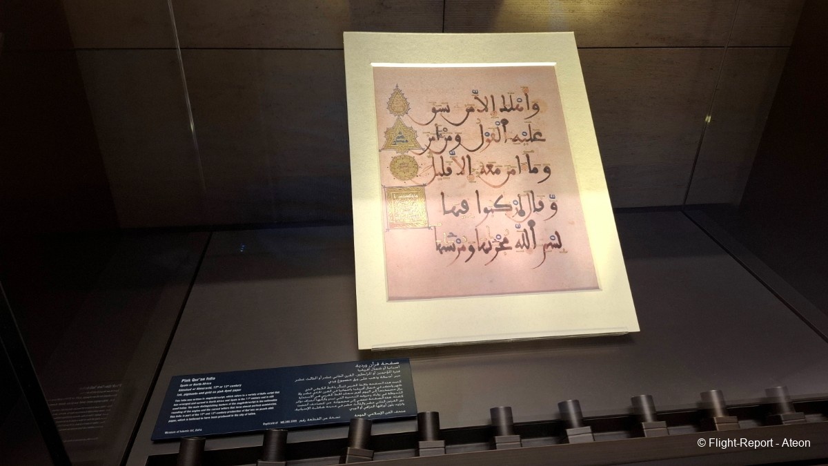 photo 20251111_060541