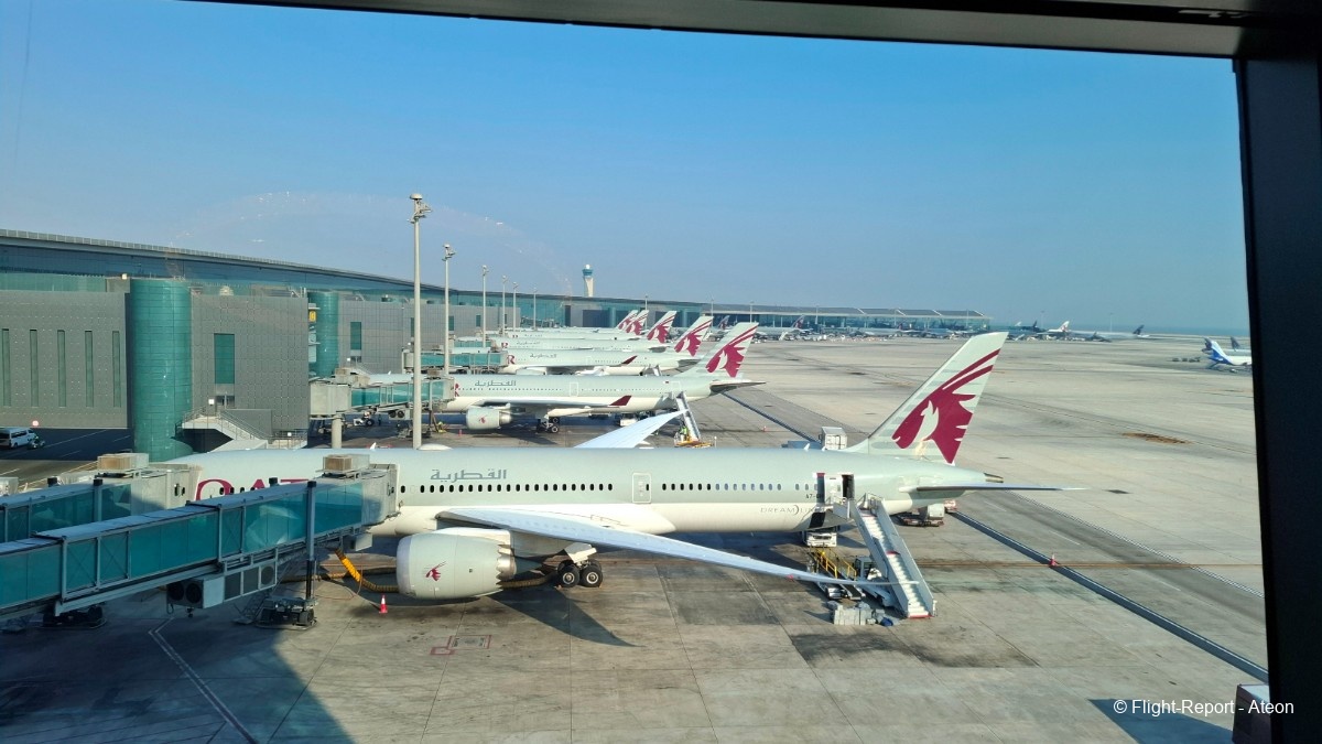 photo 20251111_125401